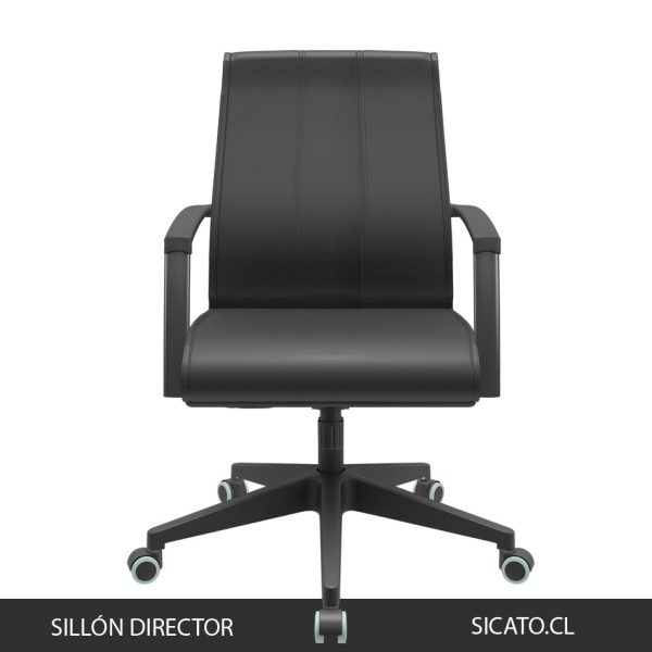 Sillón Director frente