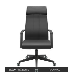 Sillón presidente frente